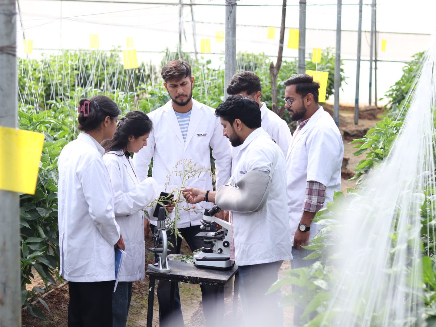 Career Point University Kota Campus photo 1